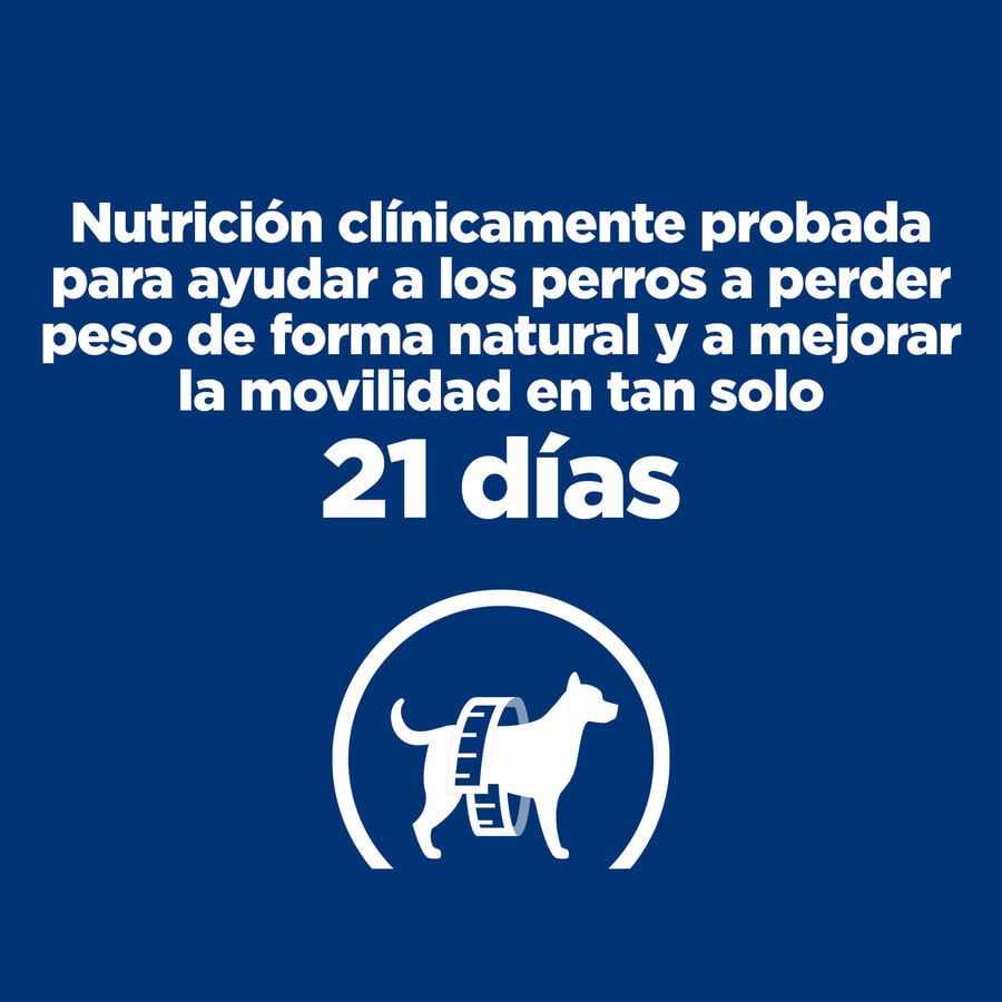 370 g Hill's Prescription Diet Canine j/d Metabolic + Mobility lata para perros, , large indicador imagen numero 5